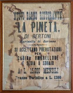 Stabilimento balneare La Pineta, Marinella di Sarzana (SP) - Hotel Risotrante